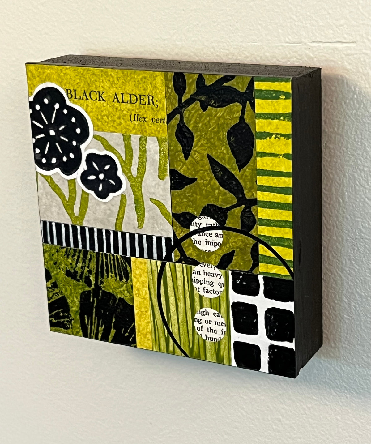Black Alder - 4" x 4" collage