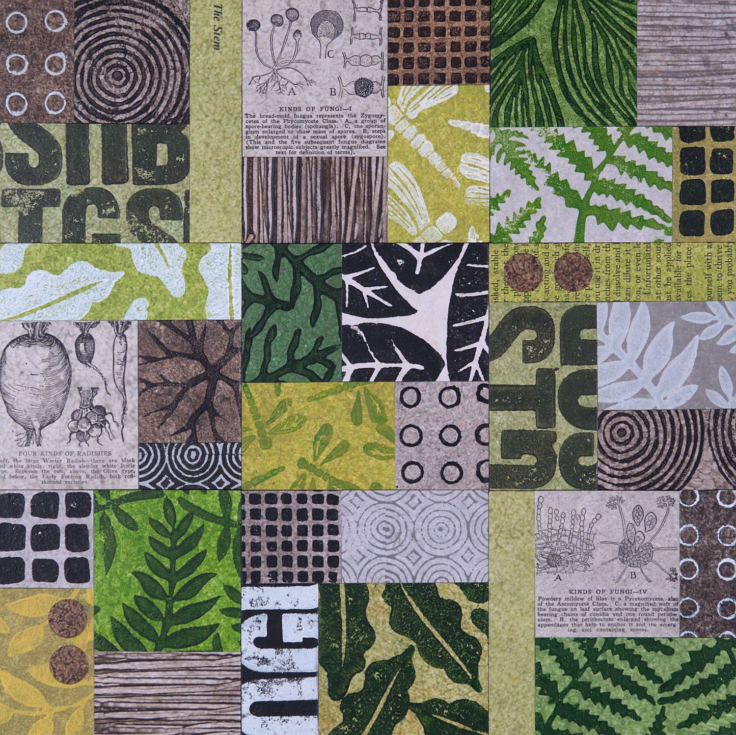 Forage III - 12" x 12" Collage