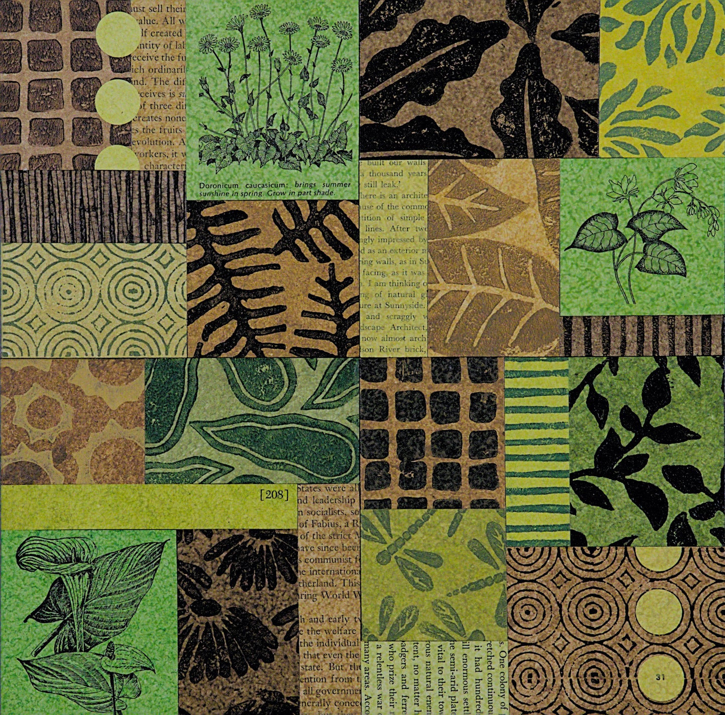 Forage VI - 10" x 10" Collage
