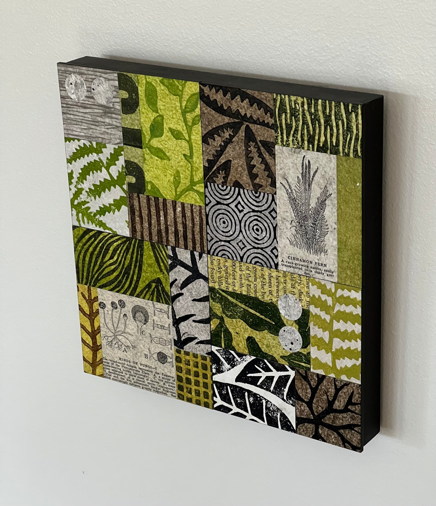 Forage V - 8" x 8" Collage