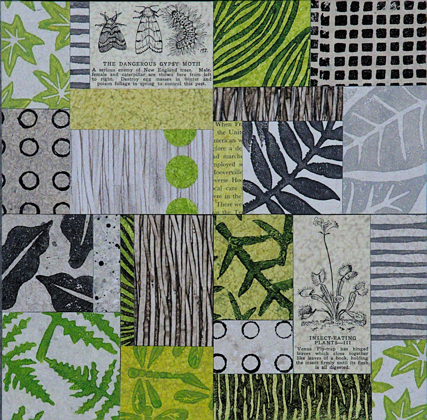 Forage XI - 10" x 10" Collage