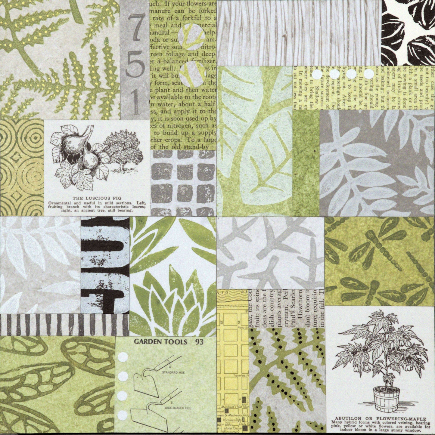 Urban Garden III - 10" x 10" Collage