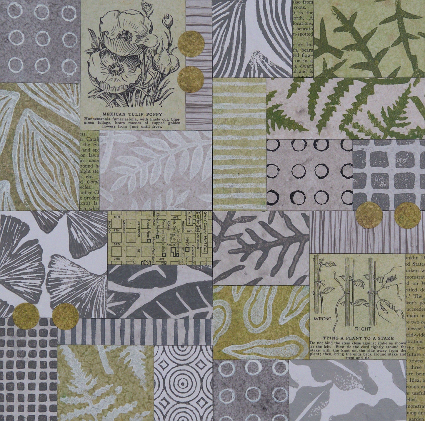 Urban Garden VIII - 10" x 10" Collage