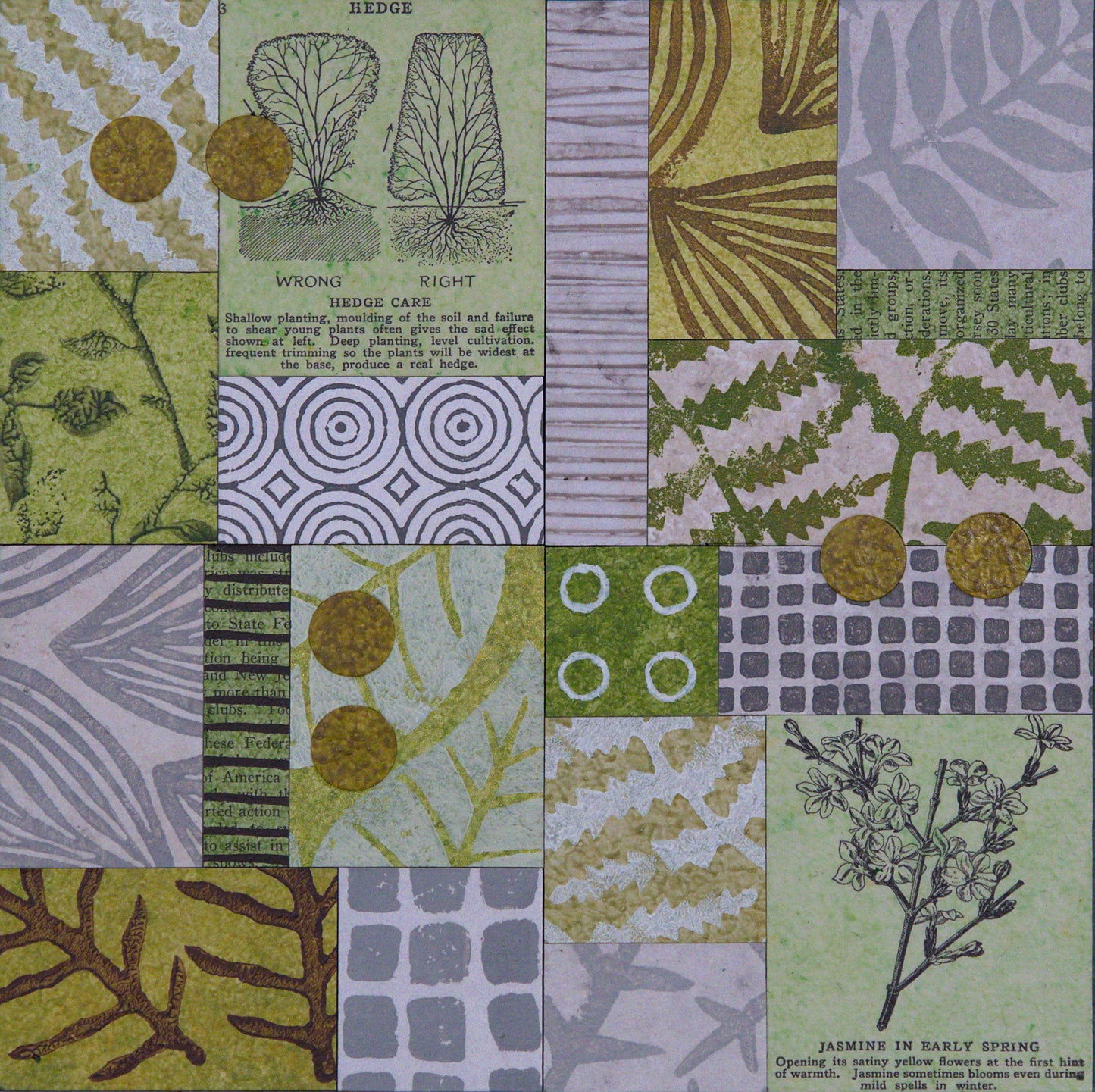 Urban Garden VII - 8" x 8" Collage