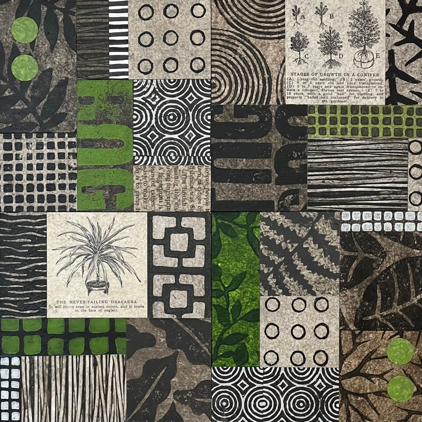 Urban Garden V - 10" x 10" Collage