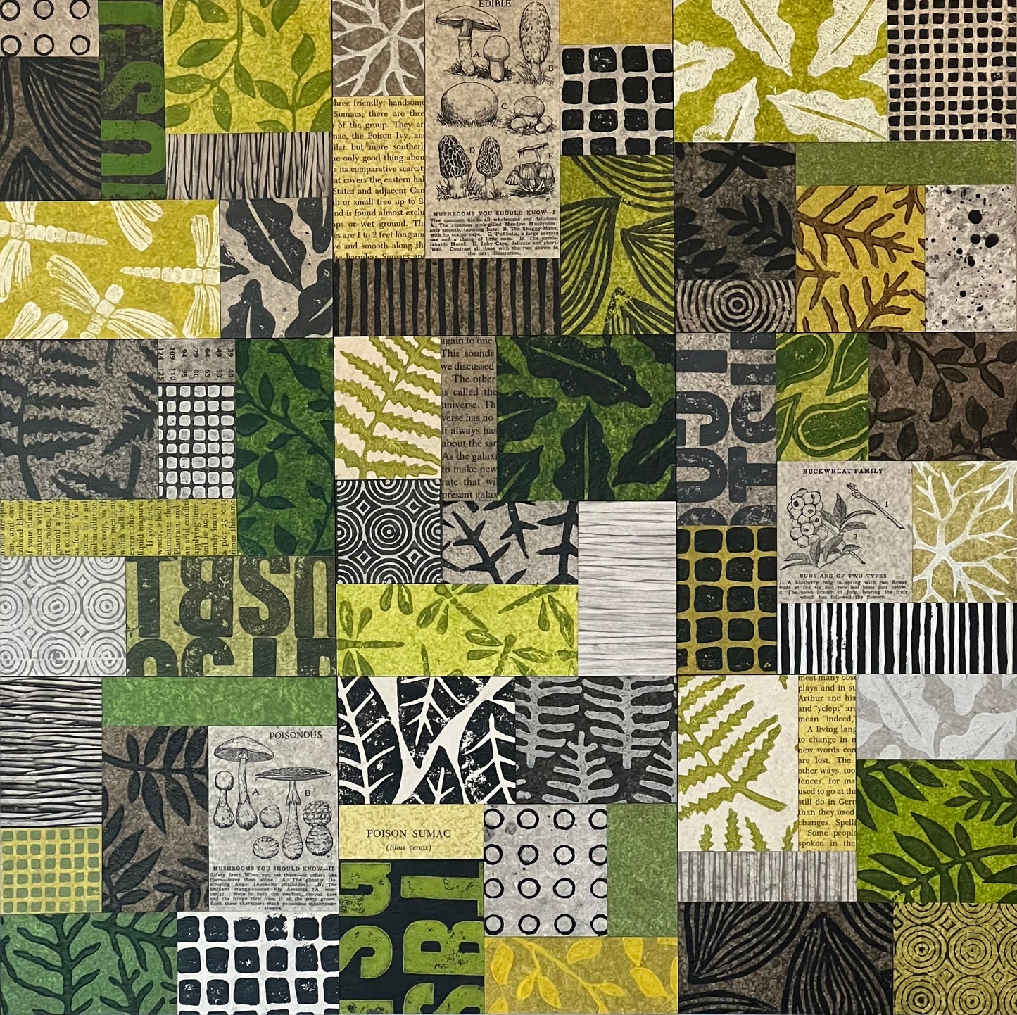 Forage II - 18" x 18" Collage